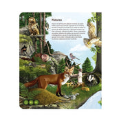 Răspundel Istețel Set Lumea Animalelor (creion+carte) román nyelvű könyv