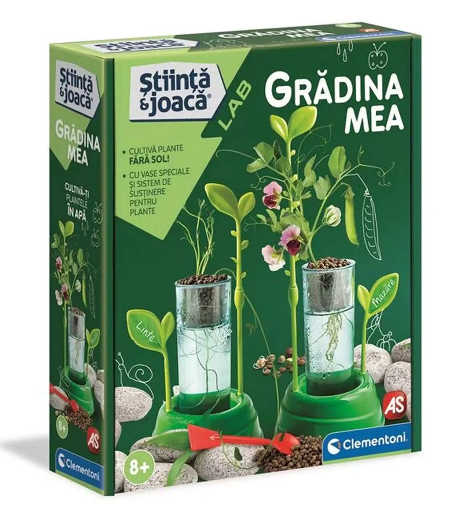  A Grădina Mea doboza, amelyen a hidroponikus növénynevelés látható átlátszó tartályokkal és virágzó borsó- és lencsenövényekkel.