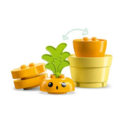LEGO DUPLO Sárgarépa-ültetés 10981 11 darabos
