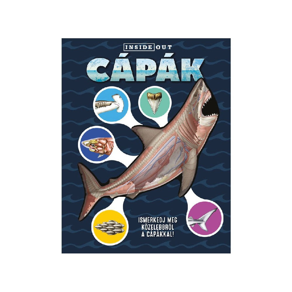 Cápák - 3D modell