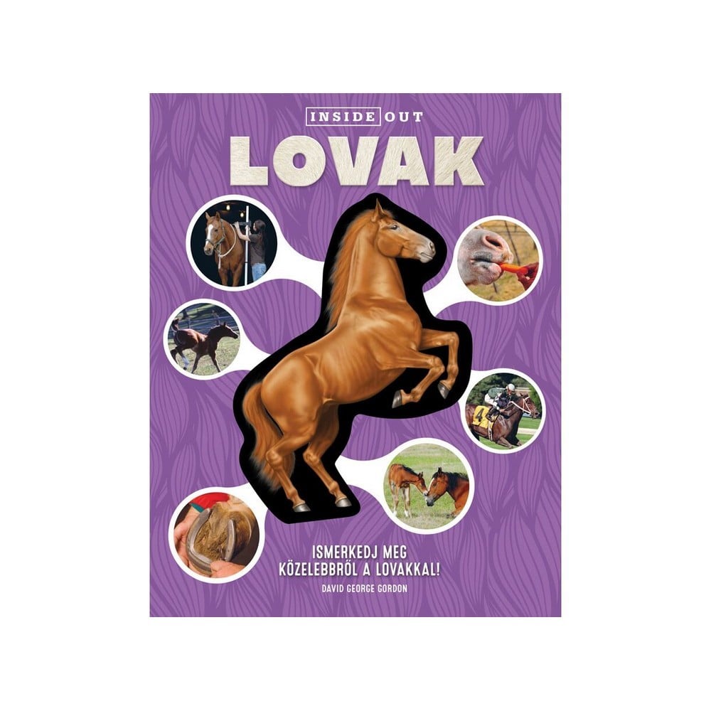 Lovak - 3D modell