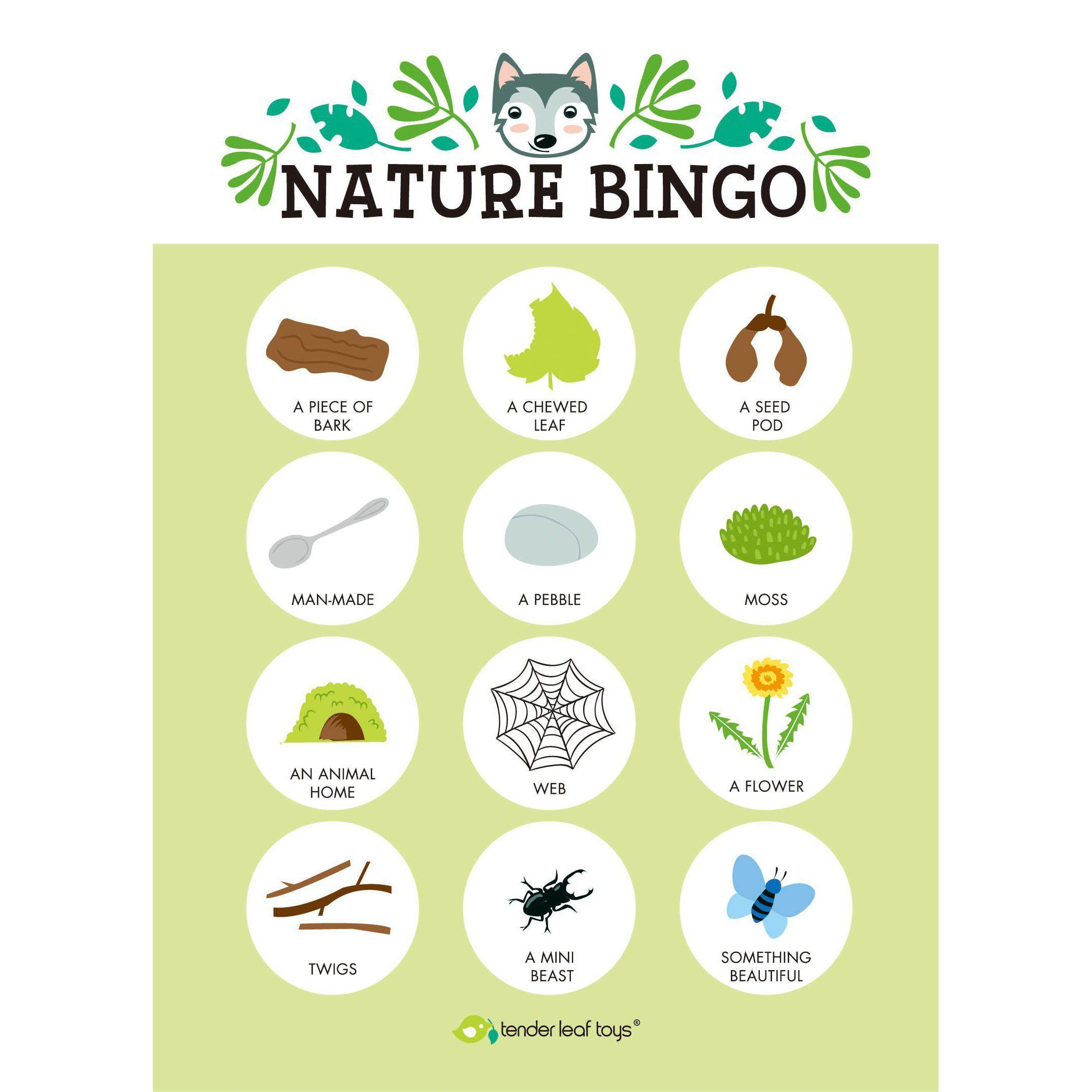 Erdei kiránduló készlet, prémium minőségű fából - Forest Trail Kit - 10 darab - Tender Leaf Toys-Tender Leaf Toys-2-Játszma.ro - A maradandó élmények boltja
