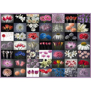 2000-es Puzzle Floral Greeting-Schmidt-1-Játszma.ro - A maradandó élmények boltja
