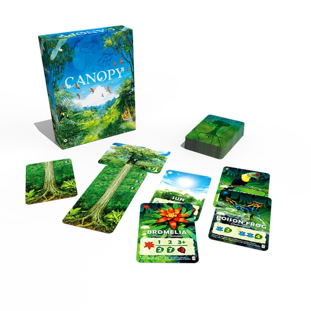 canopy-2-min.jpg