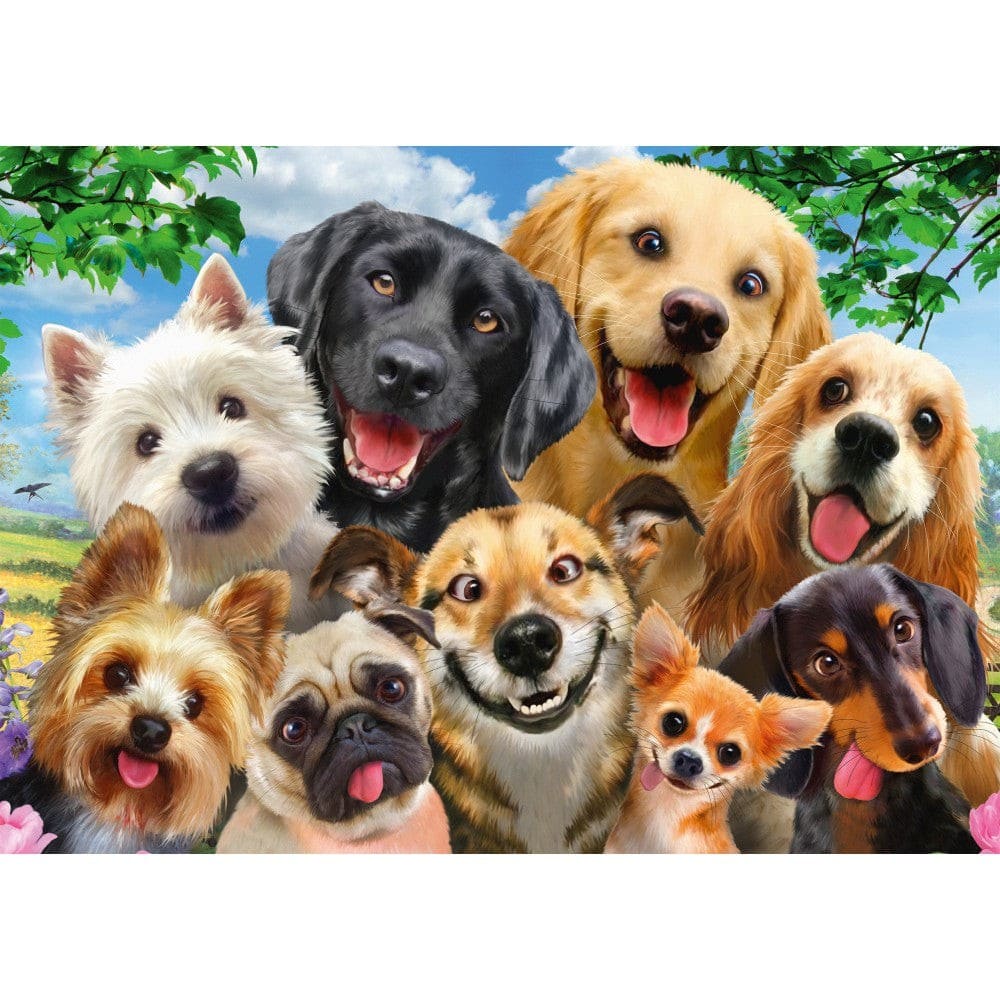 Puzzle Schmidt: Kutya selfie, 500 darabos