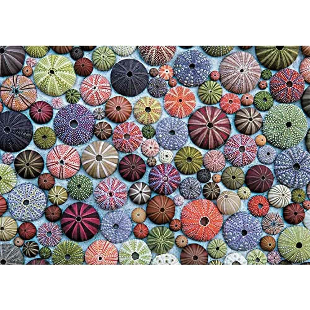 1000 darabos Tengeri sünök puzzle