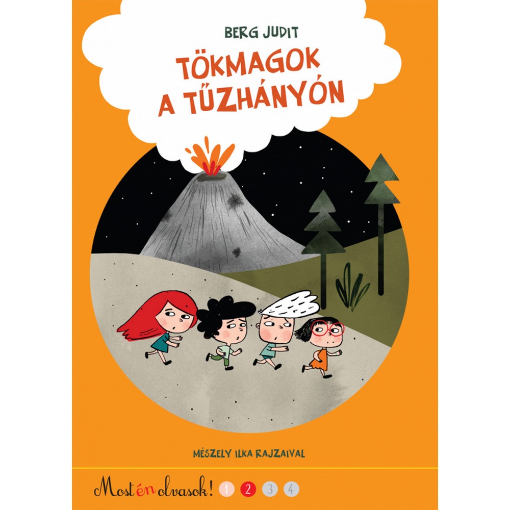 tokmagok-a-tuzhanyon-konyv-min.jpg
