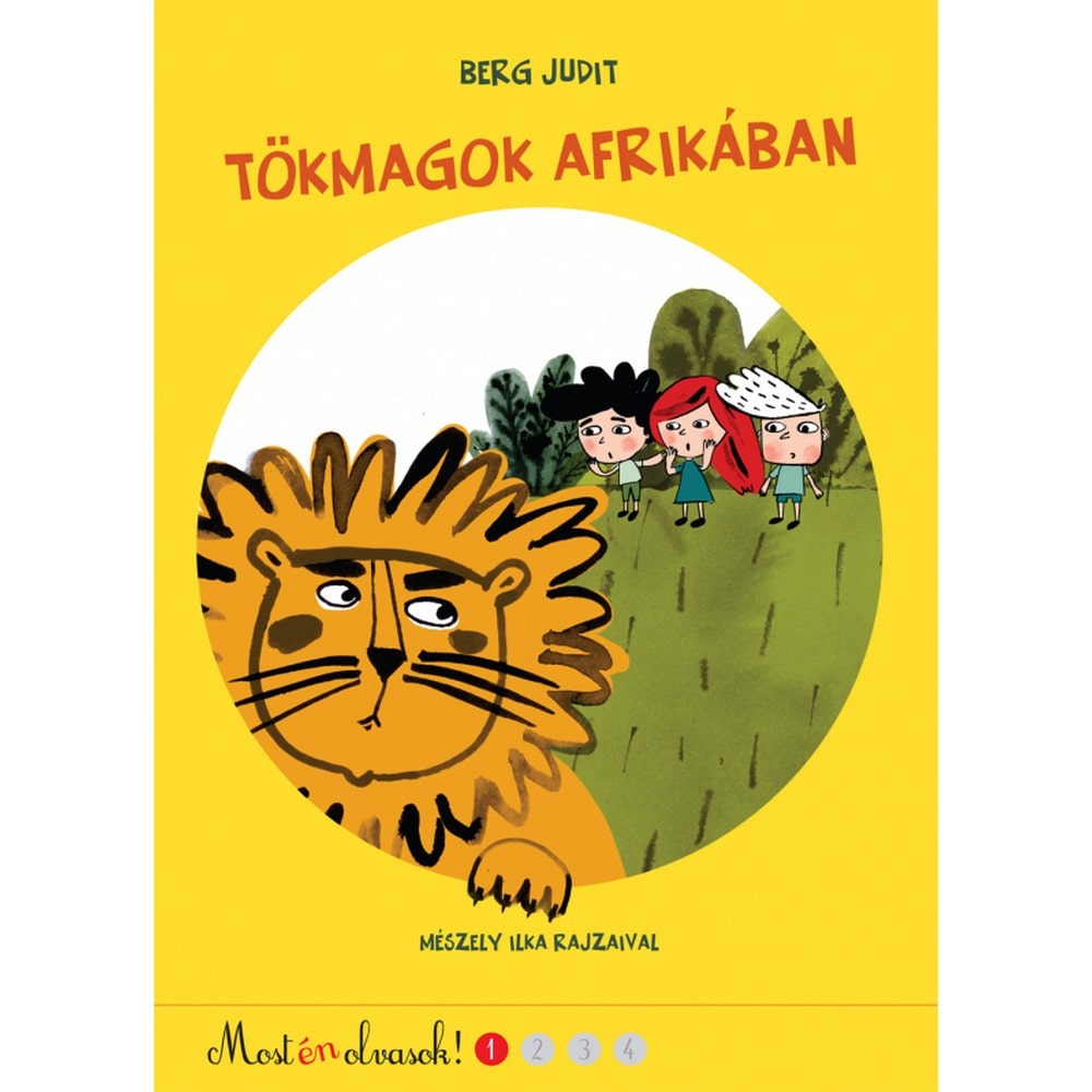 tokmagok-afrikaban-konyv-pagony-min.jpg